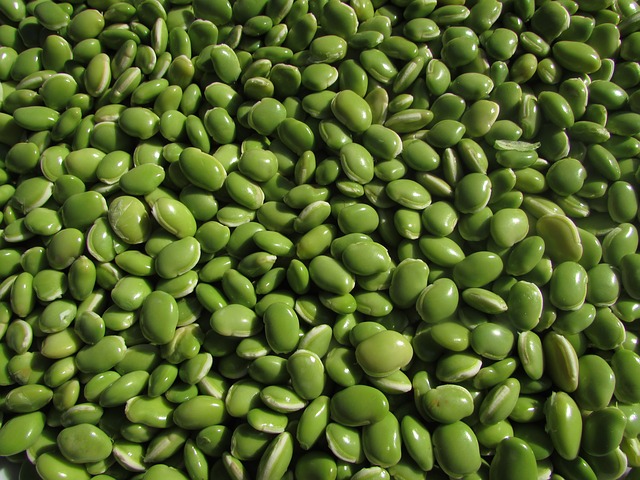 zelené fazolky