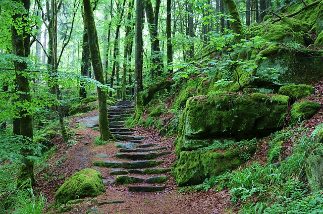 kamenné schody v přírodě